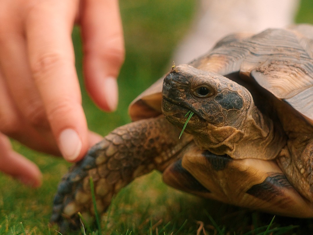 Mehr über den Artikel erfahren Zu Besuch im Kinderhospiz Gut Feismann